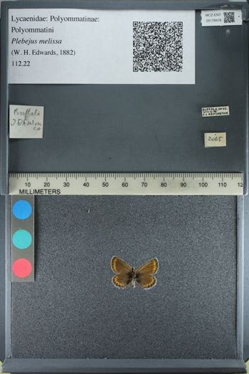Media type: image;   Entomology 178478